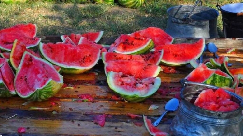 Magjia e ëmbël e fshatit Smilec – festivali i marmelatës prej shalqiri