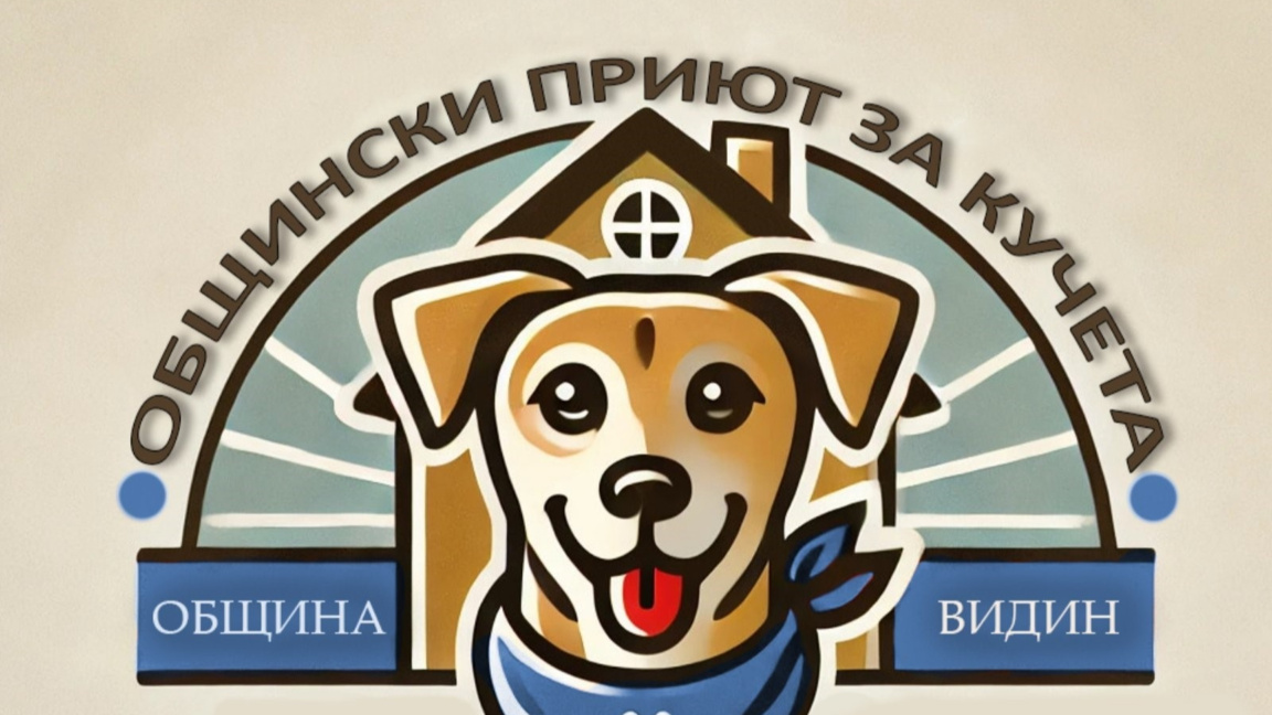 Започва безплатна кастрация на котки в община Видин 