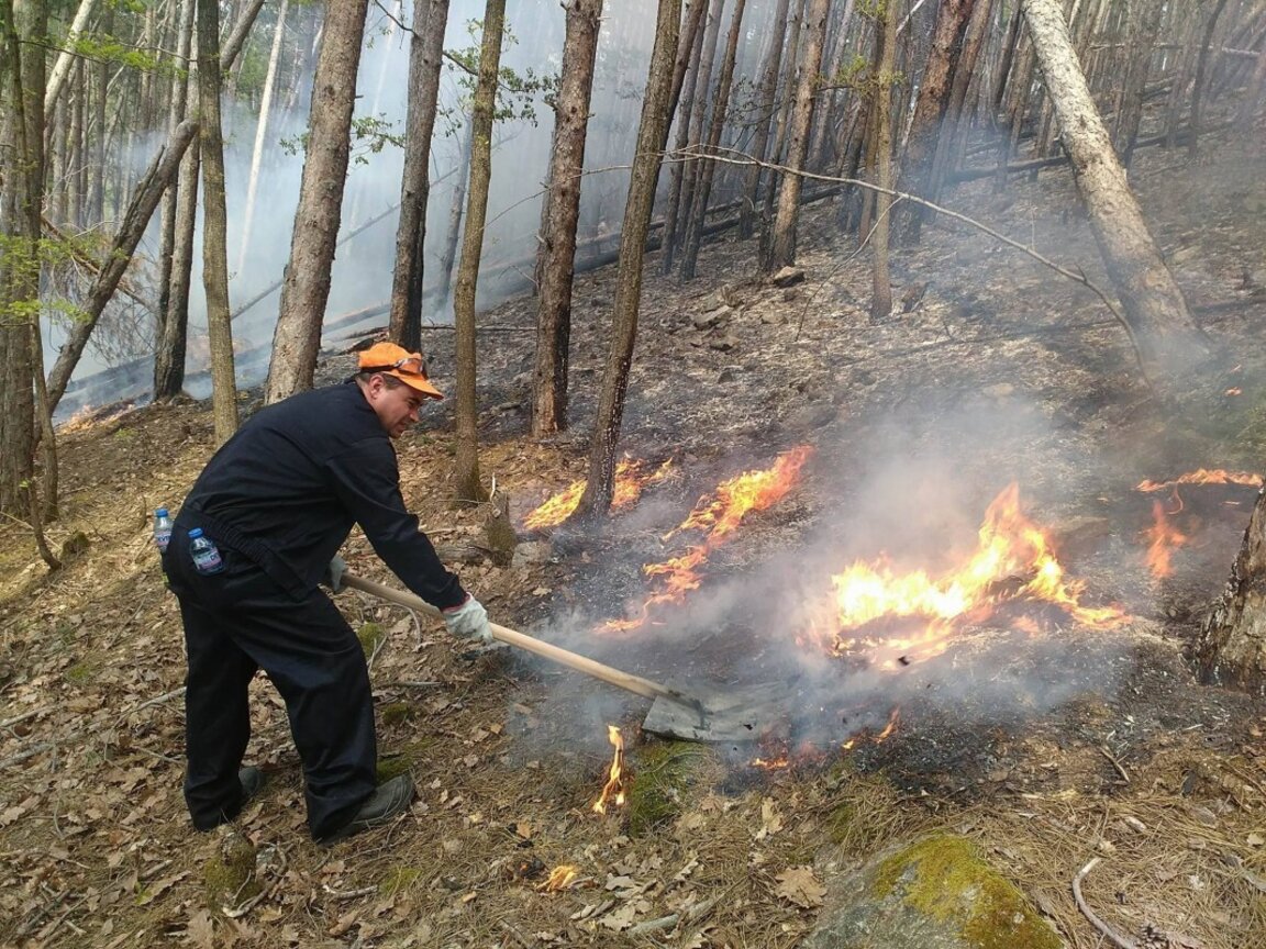 Пожар в пресечена местност над Вършец, гаси се само на ръка