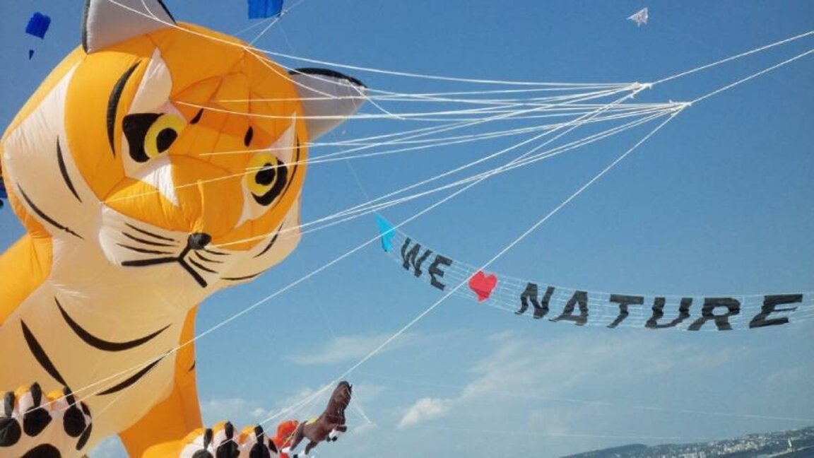 Фестивал змајева у Варвари