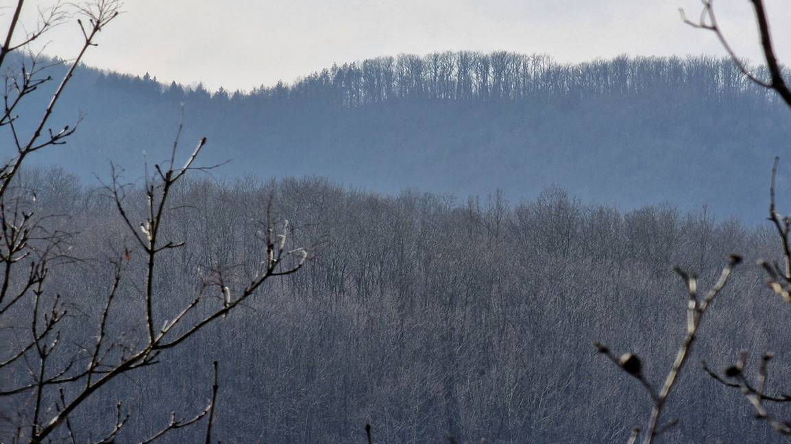 „Сюжети от деня“ с Агнес Манова