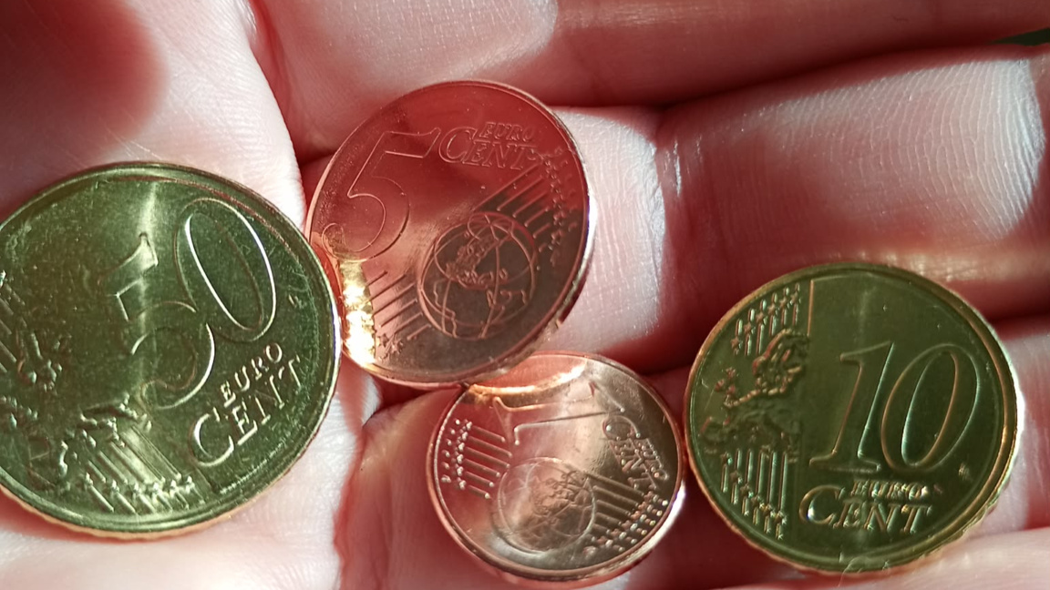 Без сериозни проблеми с въвеждането на еврото в Плевен