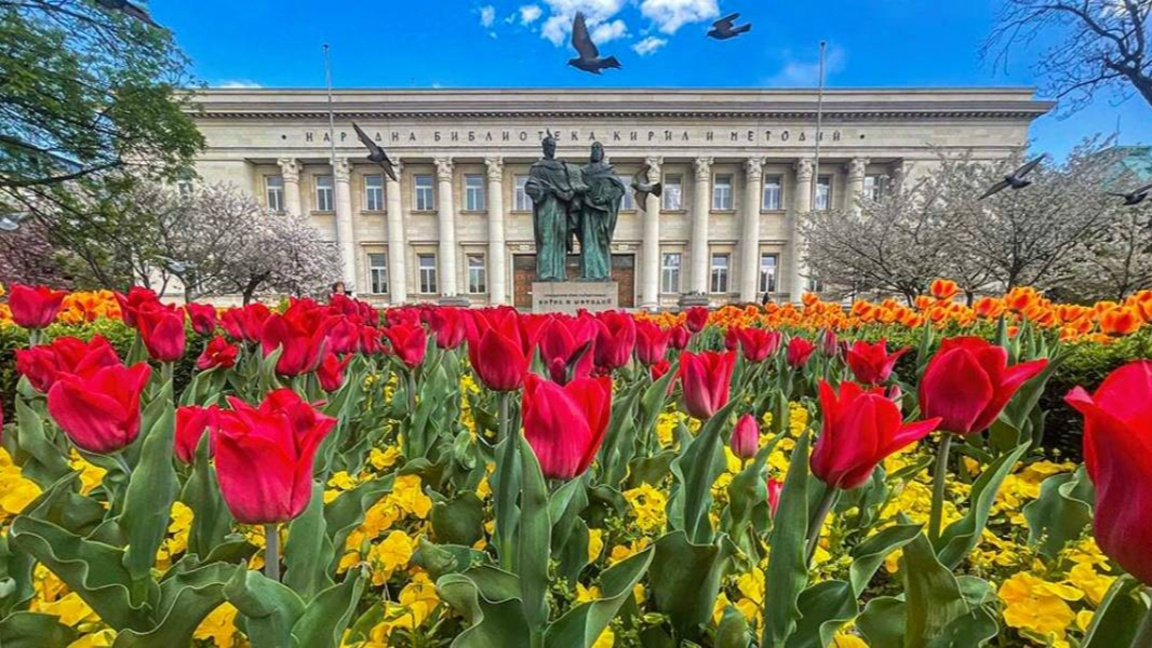 "Голямата диктовка" ще се проведе в Националната библиотека