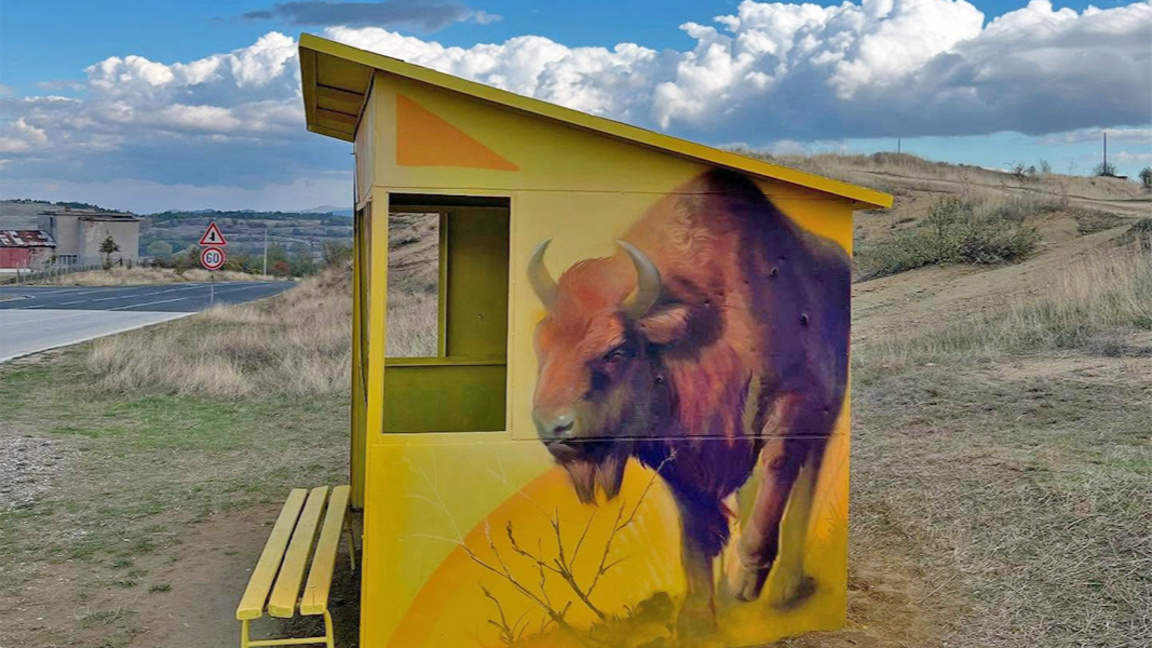 Peintures murales aux abribus