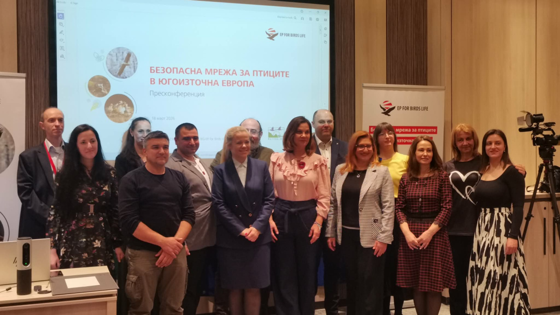 ЕВН изпълнява проекта „Безопасна мрежа за птиците в Югоизточна Европа“