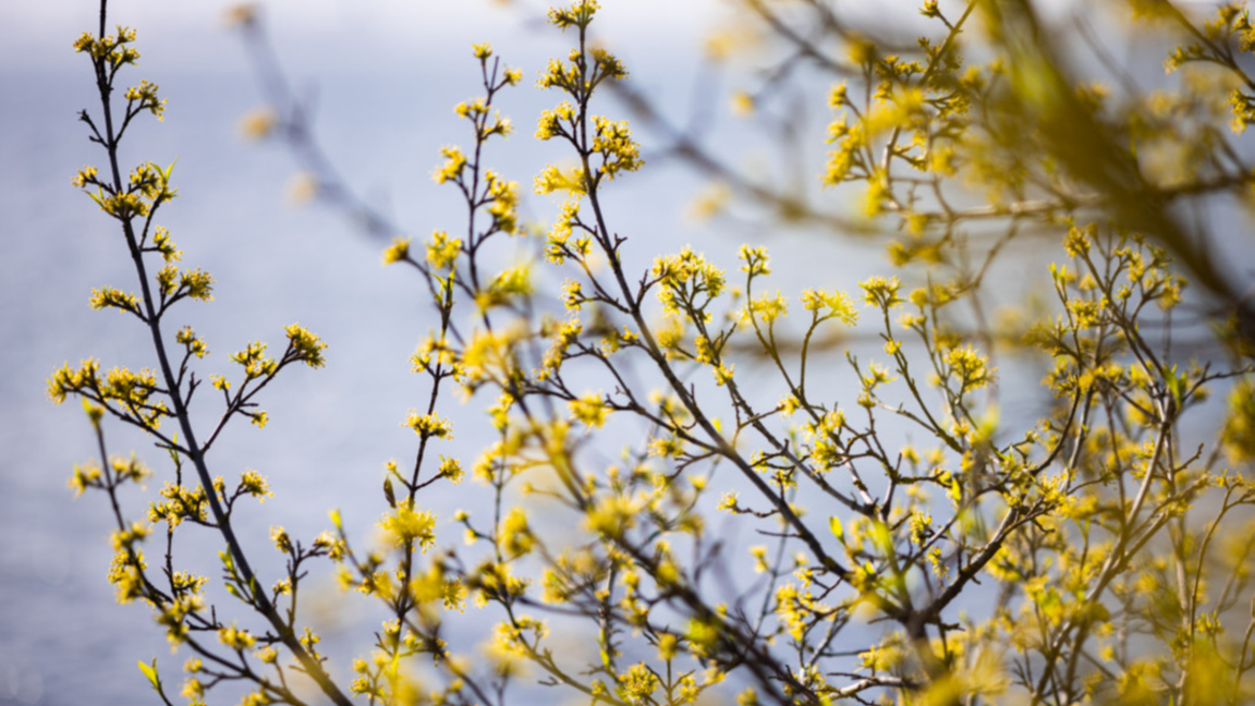 Времето остава облачно, но сравнително топло