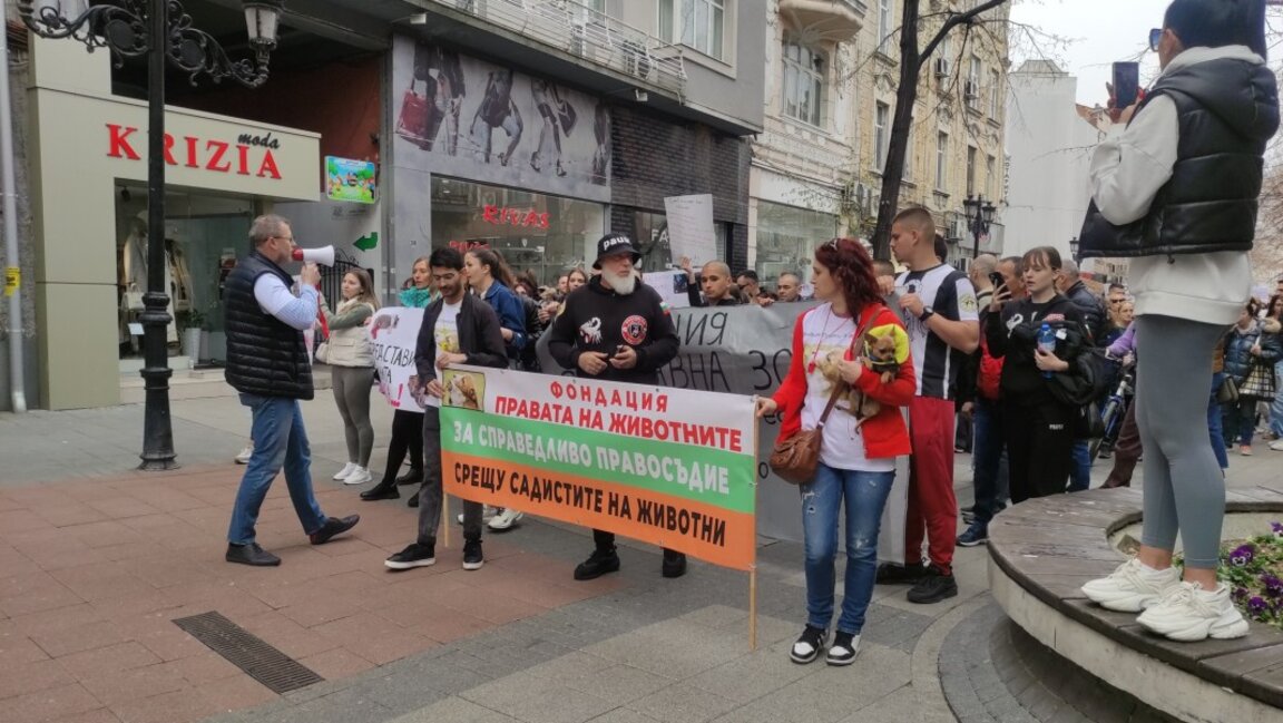 Стотици пловдивчани протестираха срещу насилието над животните