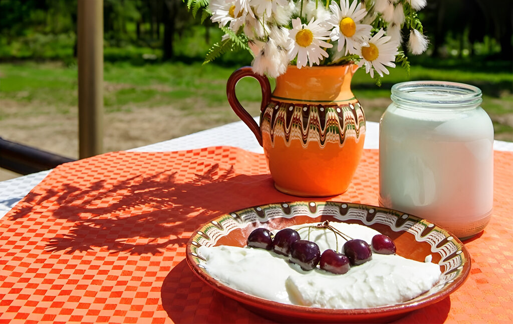 Dr Stamen Grigorov and the bacterium that made Bulgarian yoghurt a legend