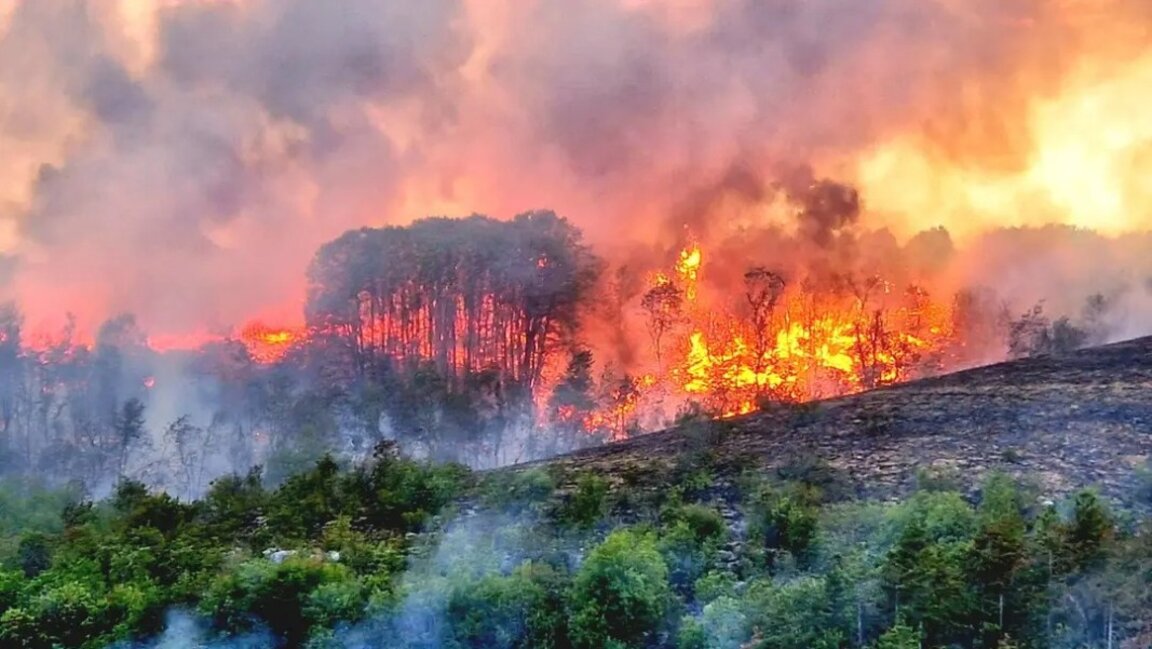 Пожарите край Арбанаси се разрастват