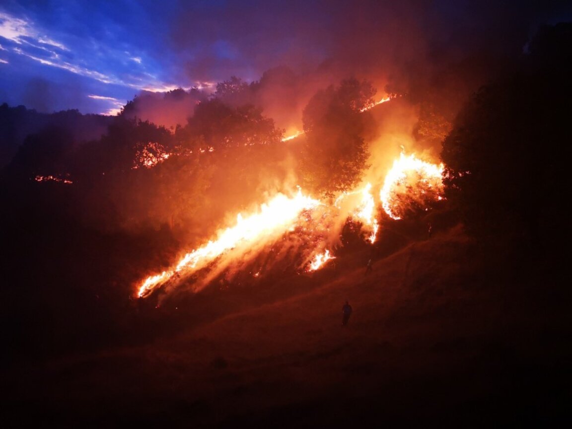 Premierul supraveghează situația incendiilor în întreaga țară