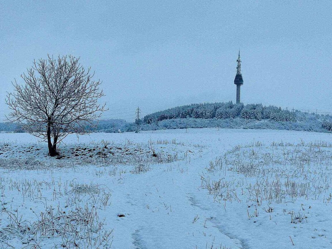 Прогноз погоды на 25 декабря