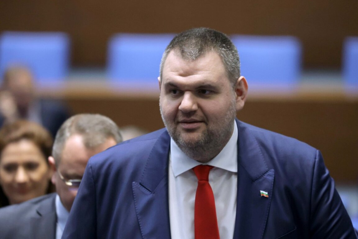 Делян Пеевски в НС.