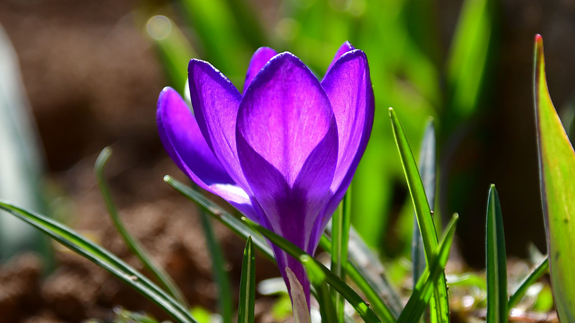 прогноза за времето През деня ще е слънчево