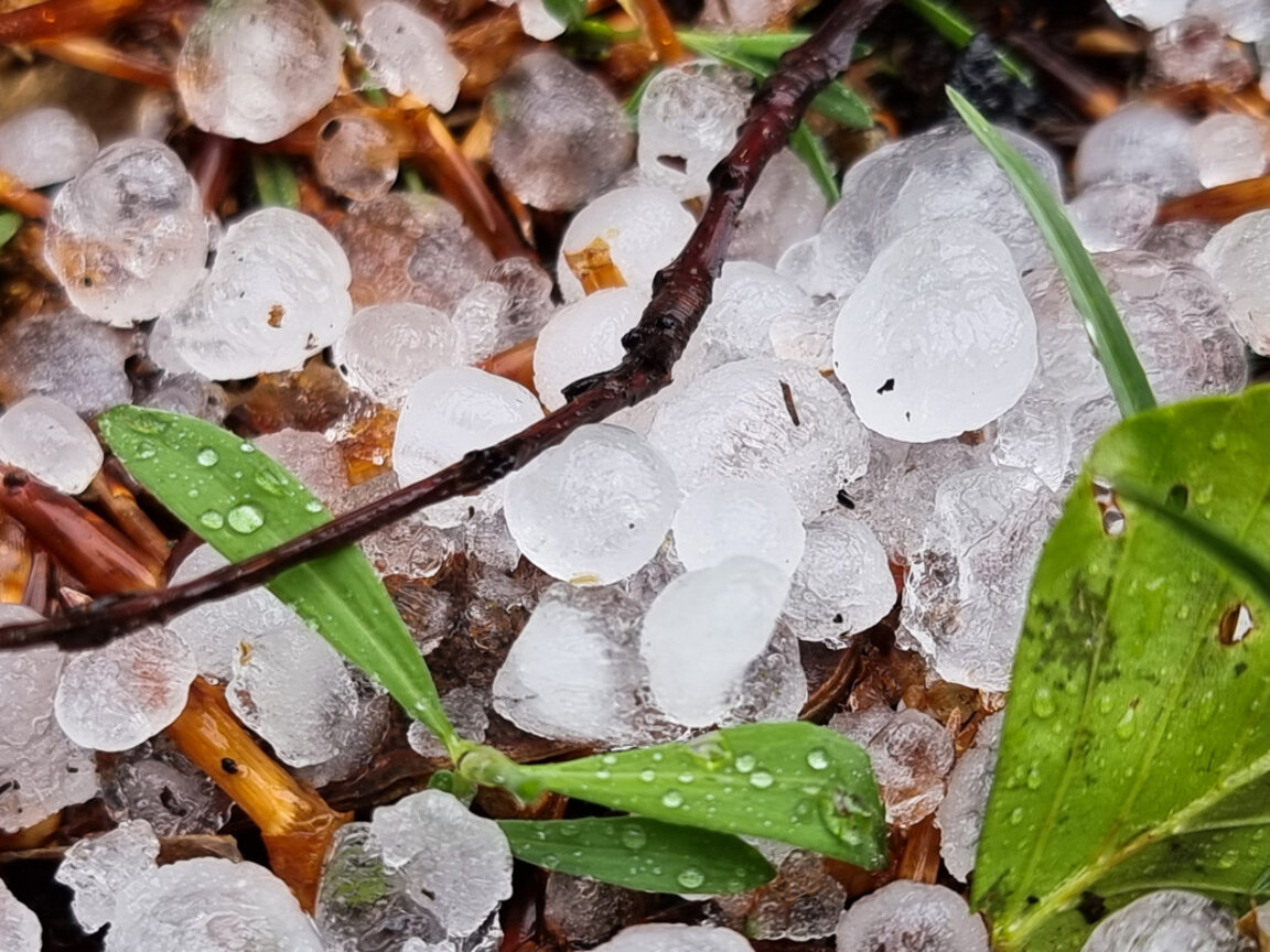 Градушка нанесе щети в няколко села в Ямболско