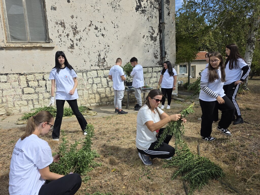 Стевията – възможната алтернатива на тютюна в Източните Родопи