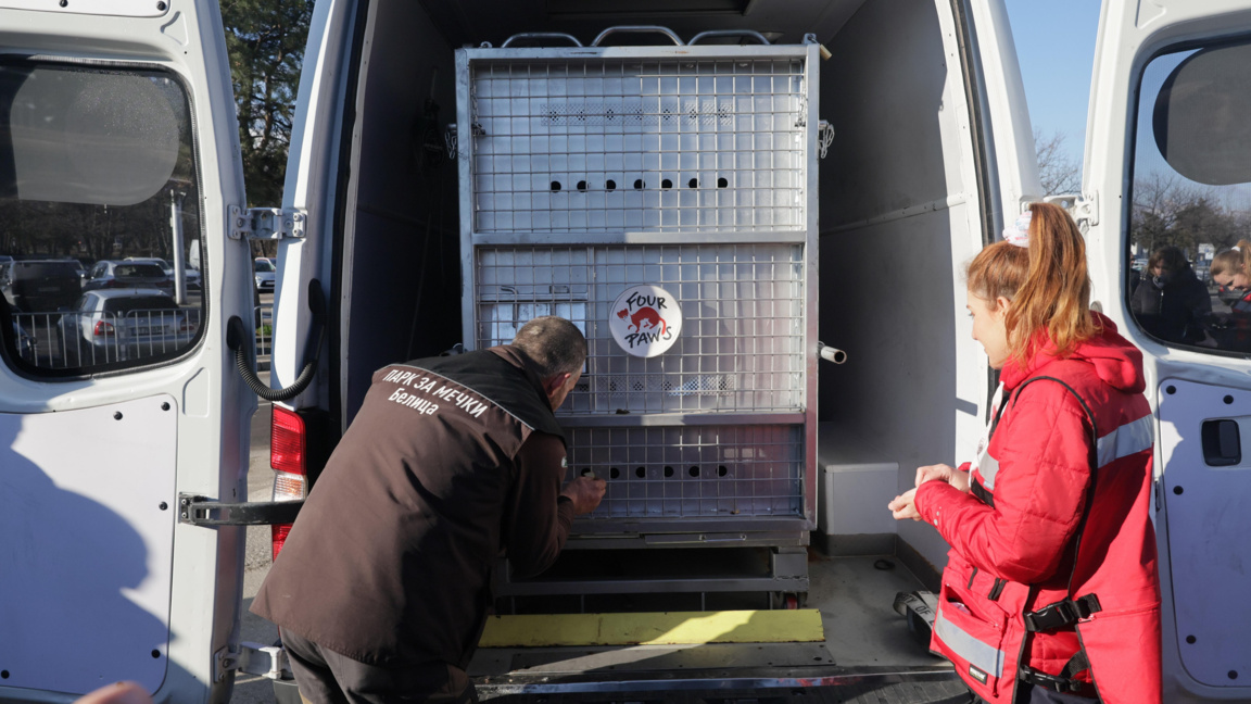 Две мечки от Аржентина пристигнаха в България