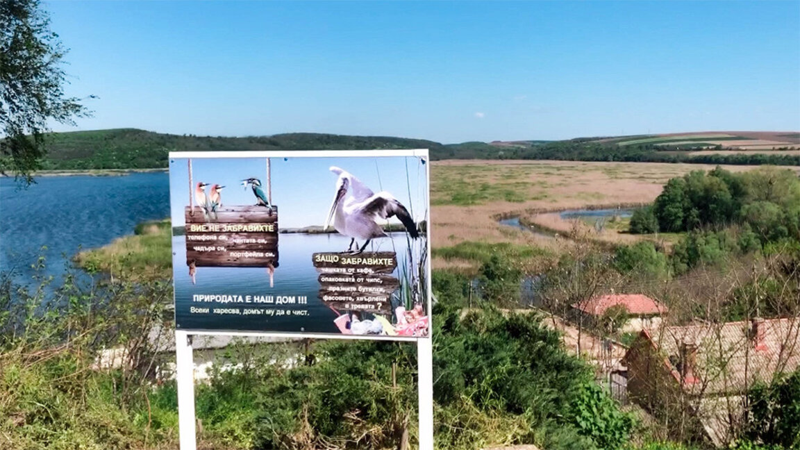 Детские ясли для птиц, плавучие острова, музей и экотропа – добро пожаловать в заповедник "Сребырна"