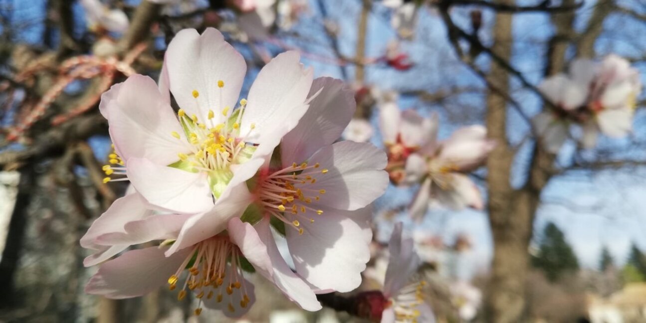 Пролет в града