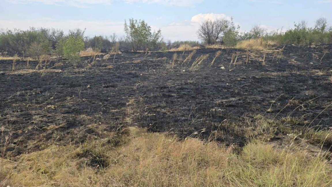 Загасиха пожара в Провадийско