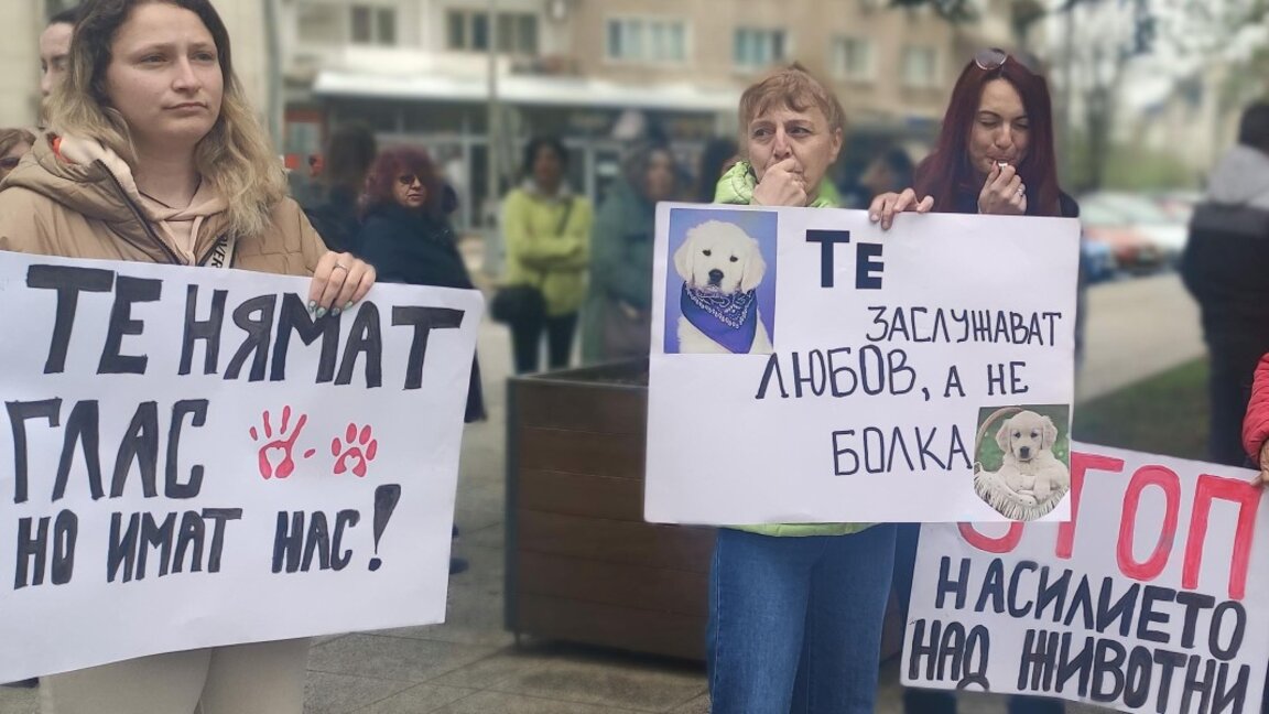 Враца се включи в протестите срещу насилието над животни