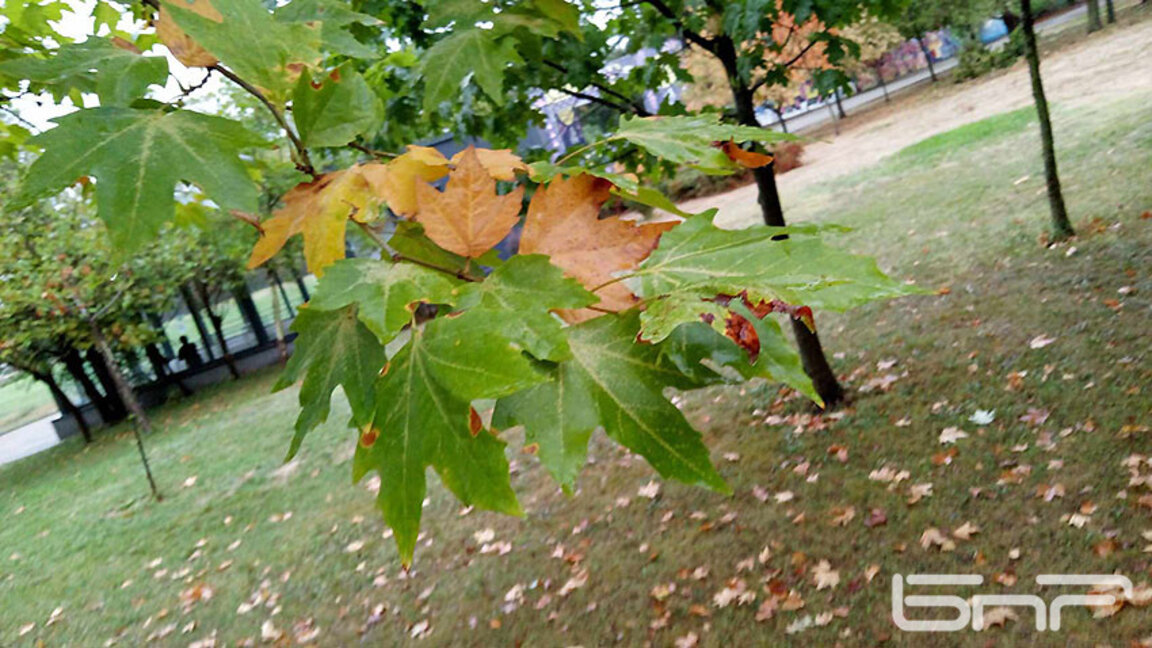 Météo : Week-end automnal…