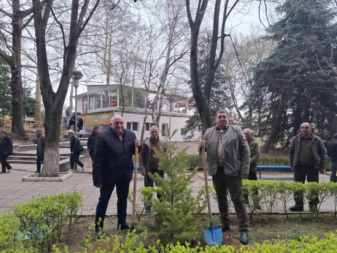 Посадиха 60 дръвчета в двора на МБАЛ „Д-р Атанас Дафовски“