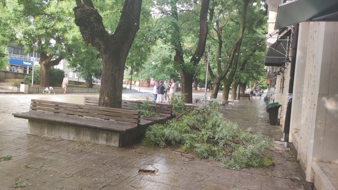 Аварийните екипи продължават разчистването на улици и тротоари