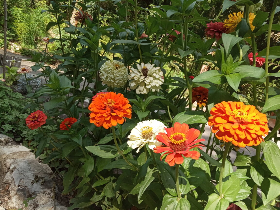 Слънчев вторник