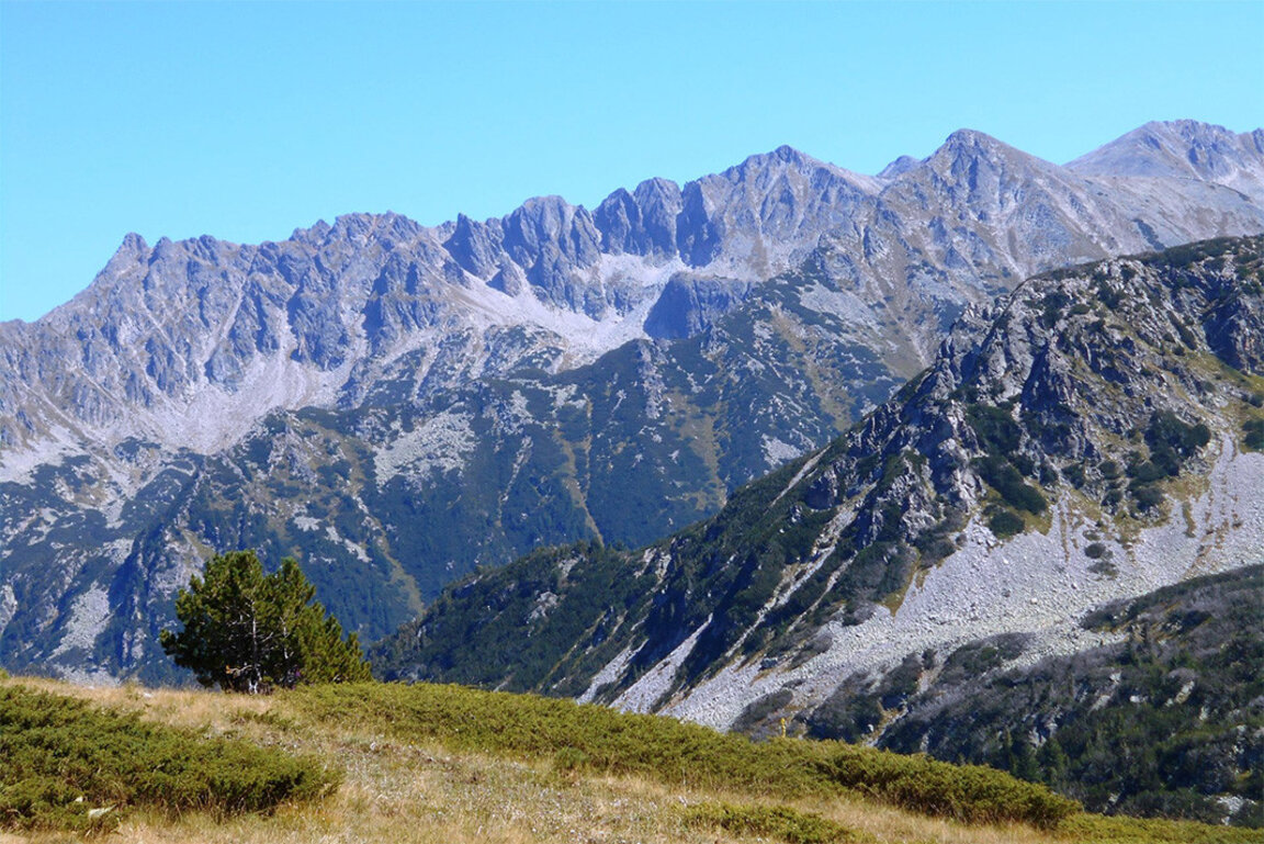 Die Naturschätze des Reservats „Julen“ im Piringebirge