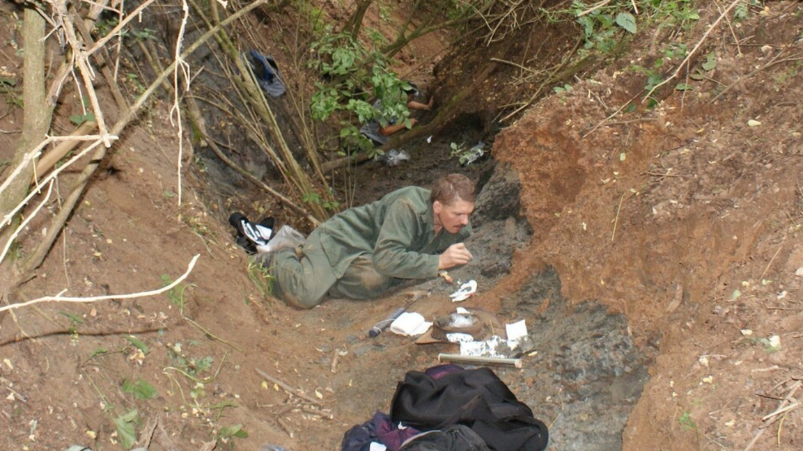 Богато находище на фосили в геопарка на ЮНЕСКО "Хацег" в Румъния