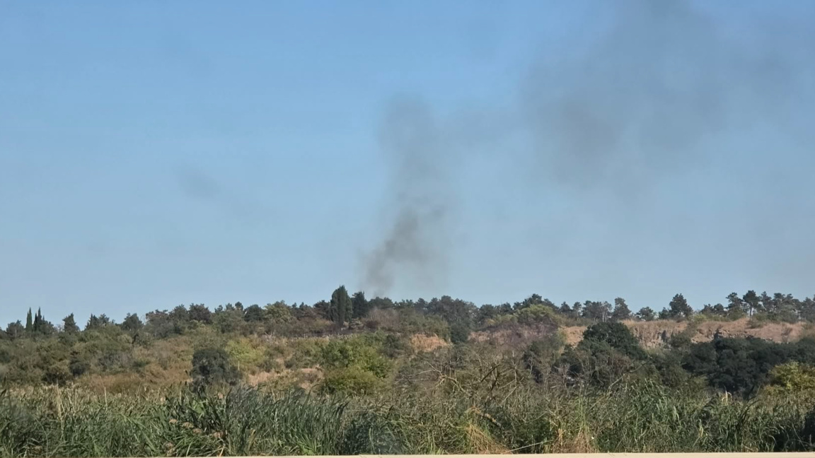 Пожар в района на приюта за кучета край Бургас