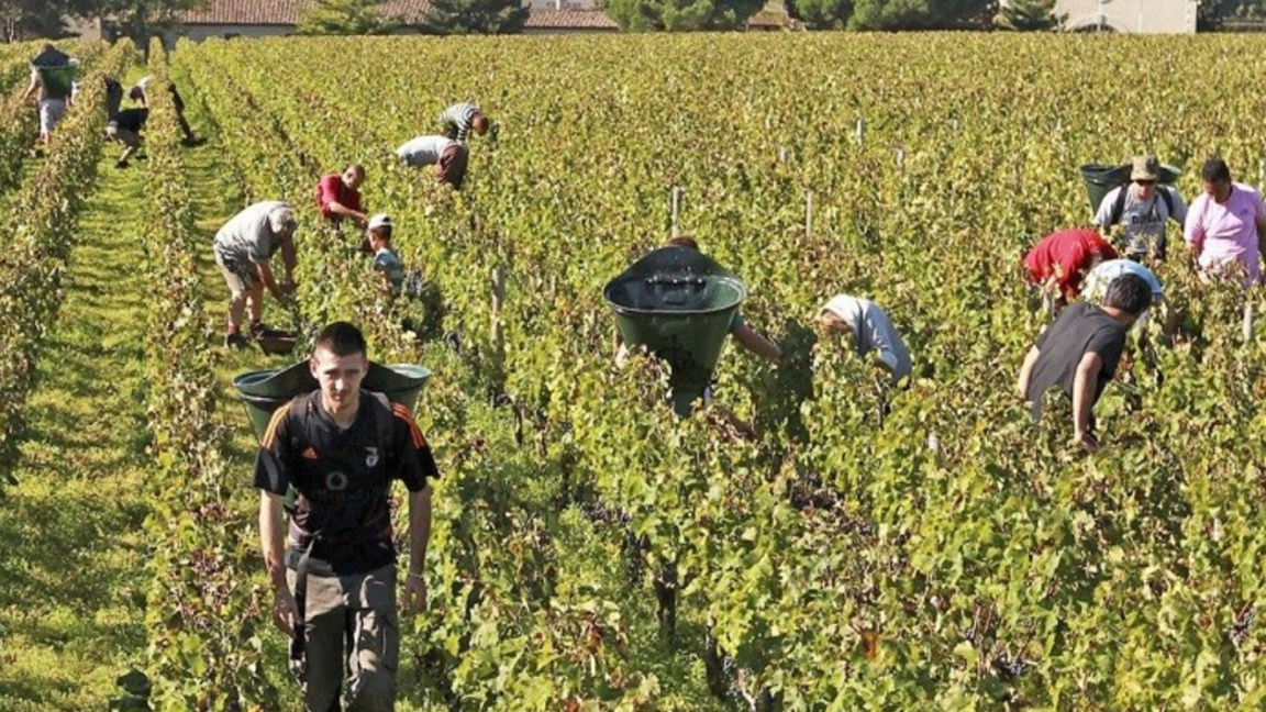 There are plans for accelerated registration of foreign seasonal workers