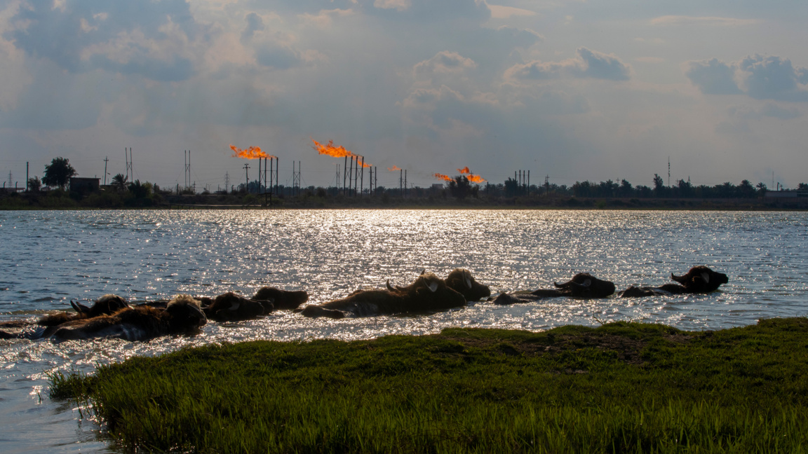 Снимката е илюстративна