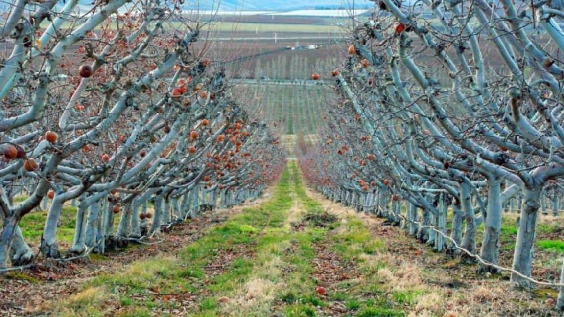 Цветан Цеков: Смяната на един министър с друг няма да реши проблемите