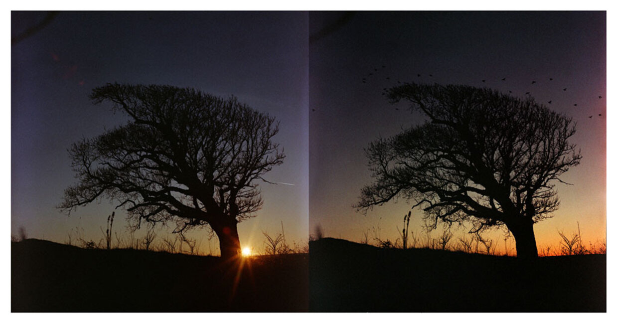 19 Ağustos Dünya Fotoğrafçılık Günü