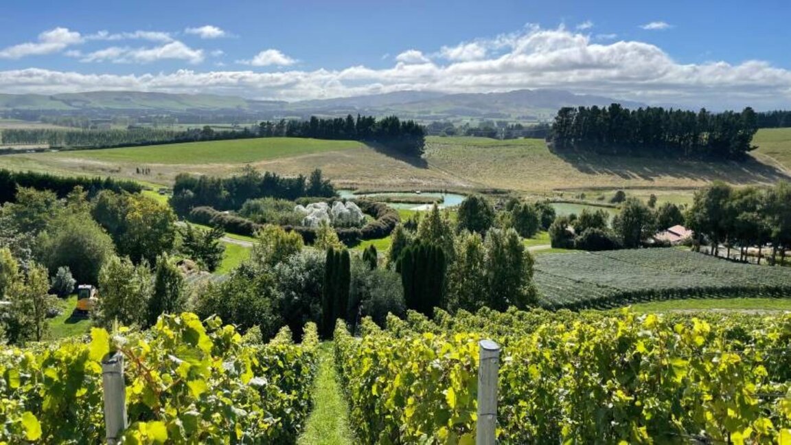 Du vin bulgare sera exporté en Nouvelle-Zélande...