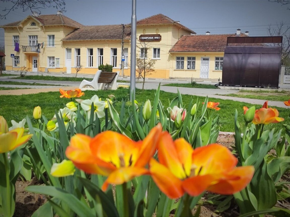 Село Шемшево