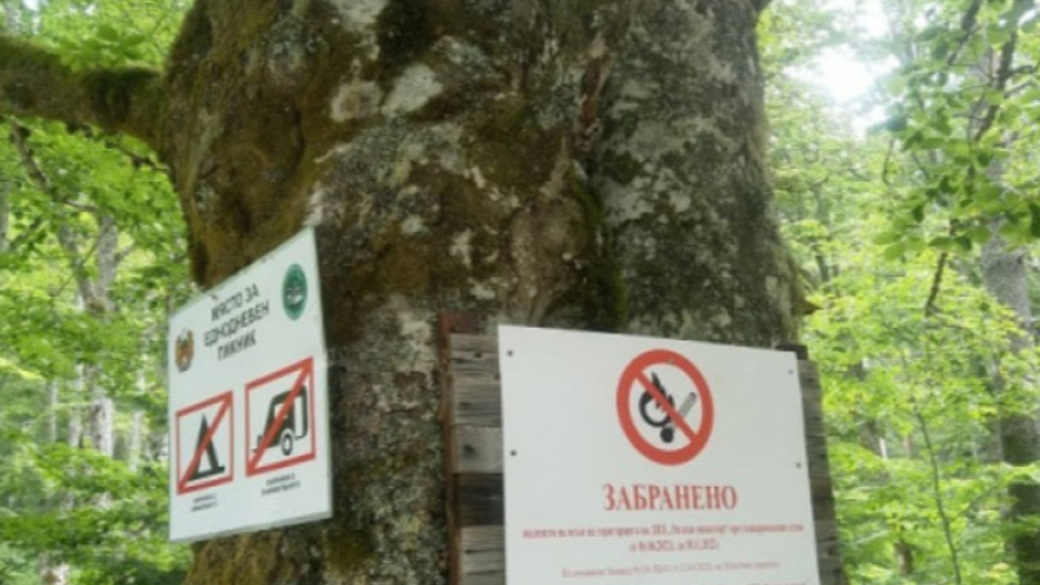 Паленето на огън на територията ПП "Рилски манастир" и в района на Светата обител е забранено до 30 ноември.