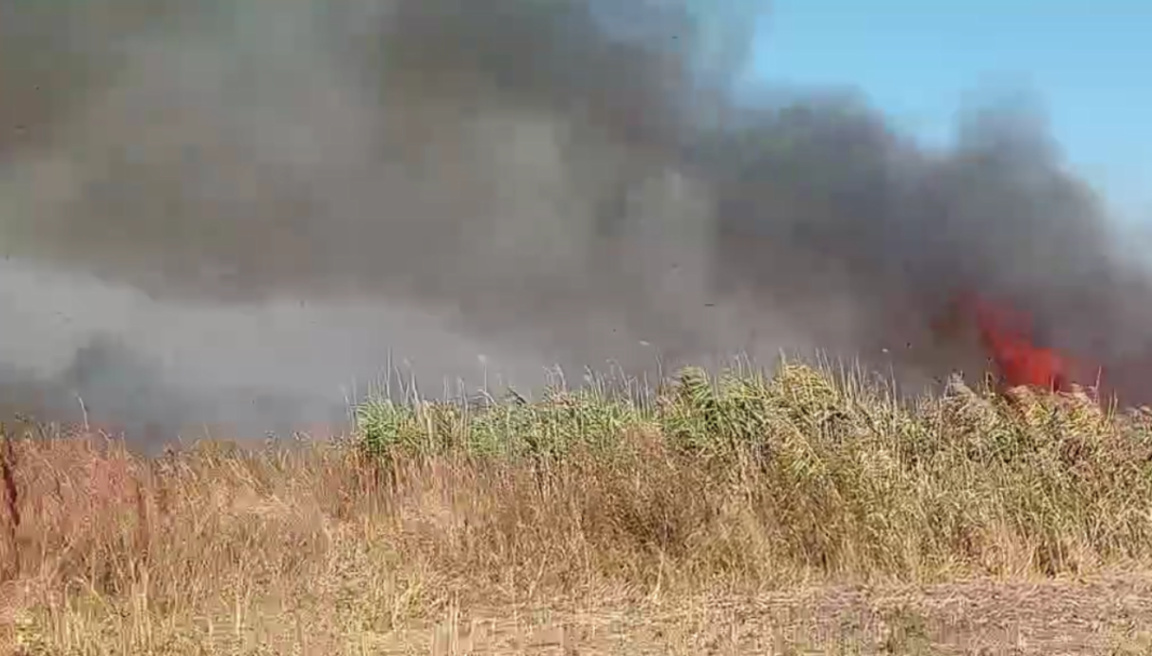 Овладян е пожарът край Тутракан