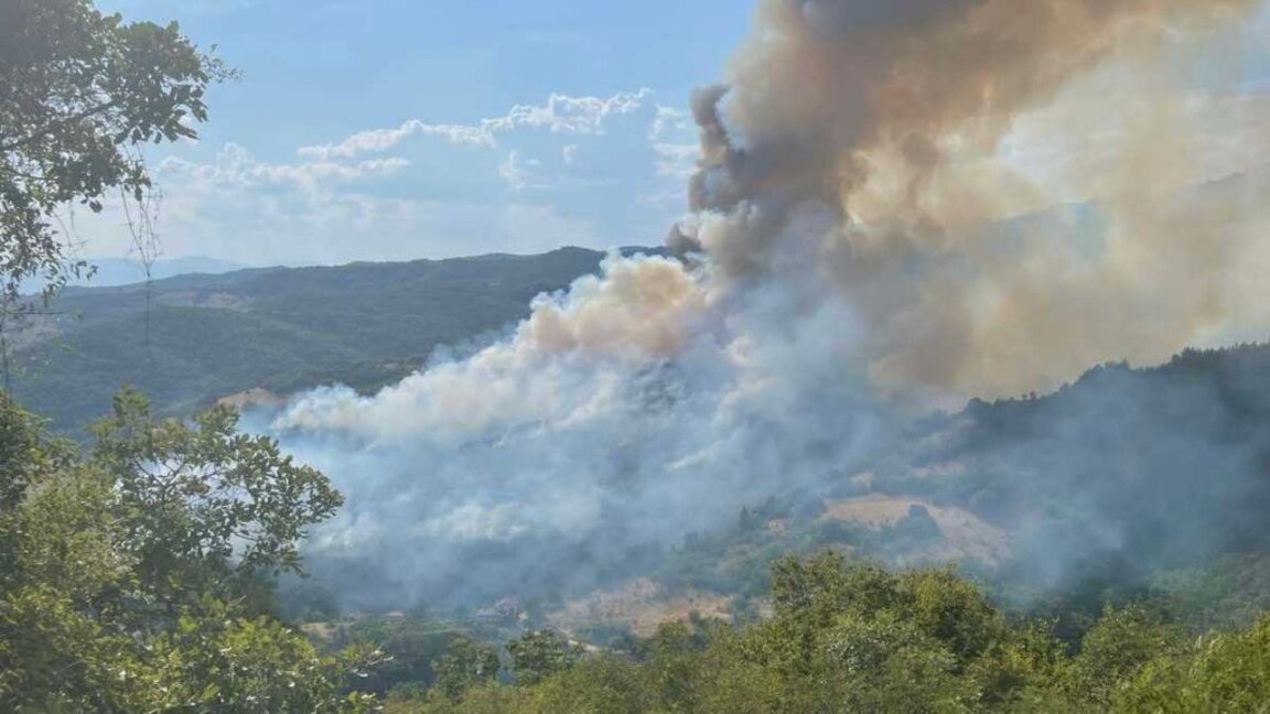 Нов пожар в Пирин