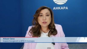 Айше Сали, БТА: Не е ясно дали ударените кораби са турска собственост