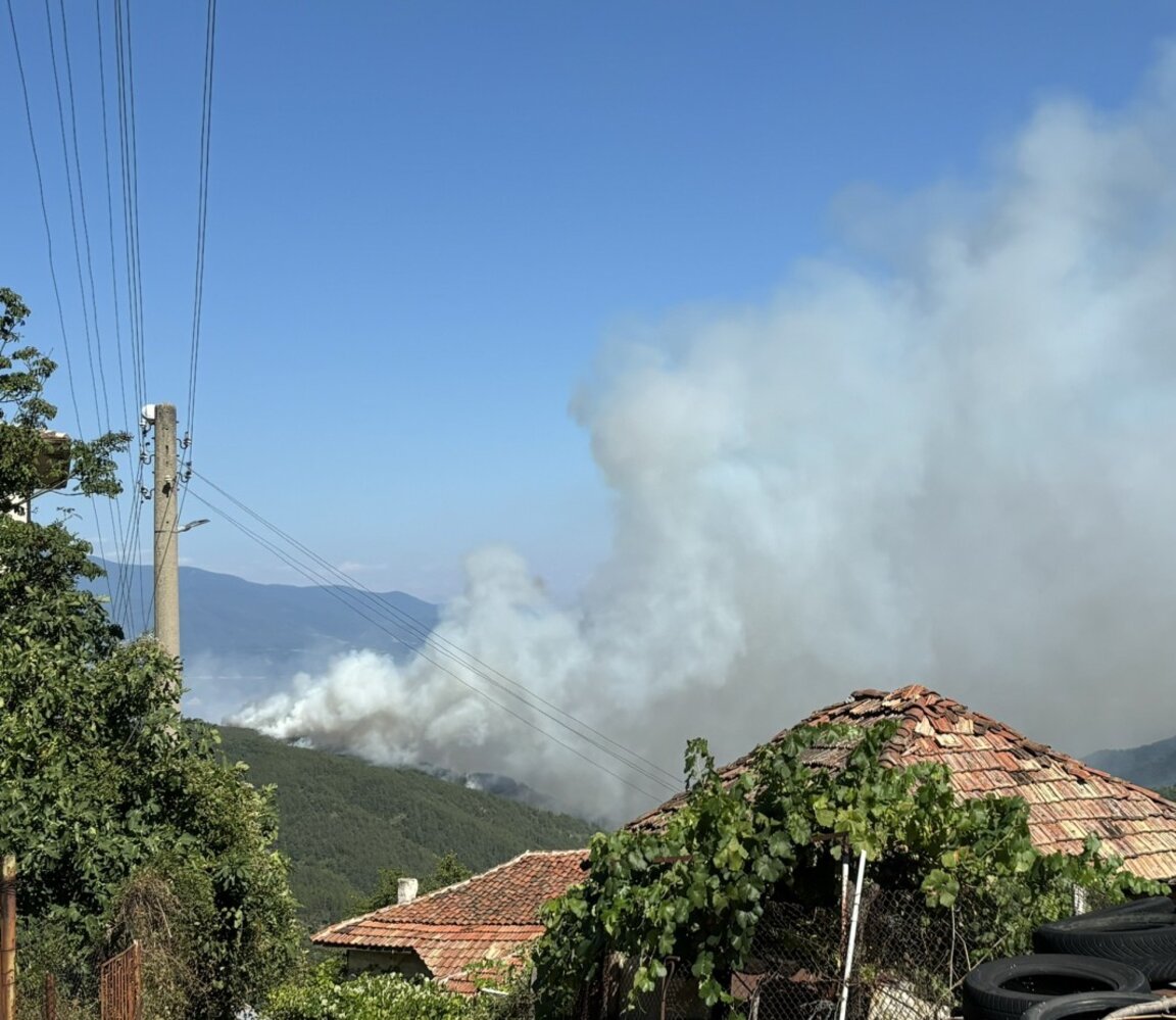 Снимки: МВР