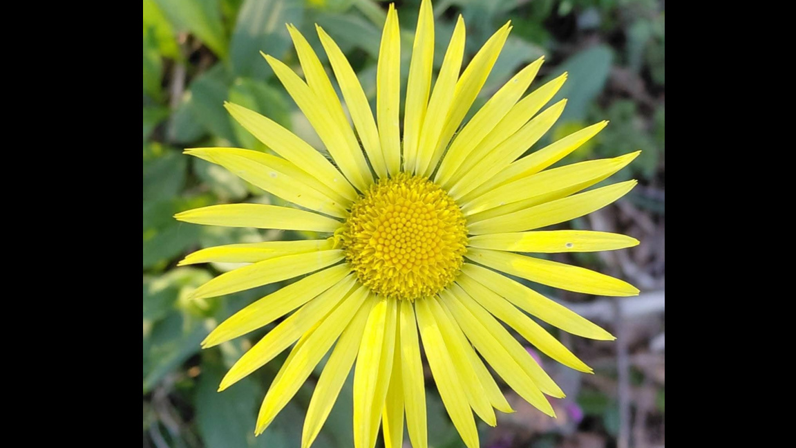 С ,,Оттука започва денят" по Радио Шумен