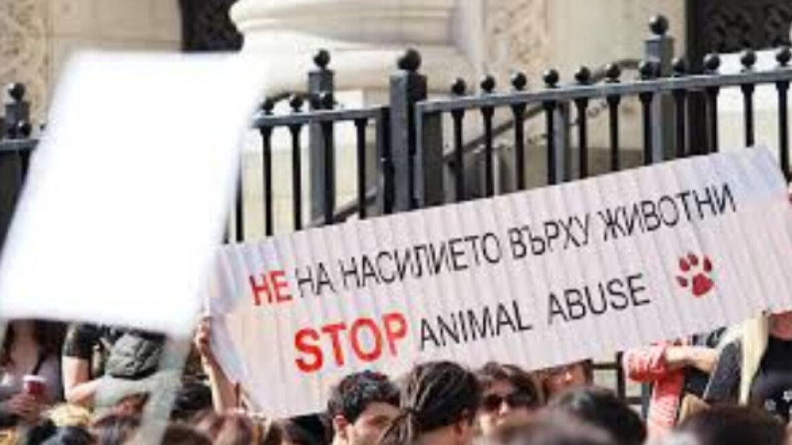 Протест срещу насилието в Благоевград