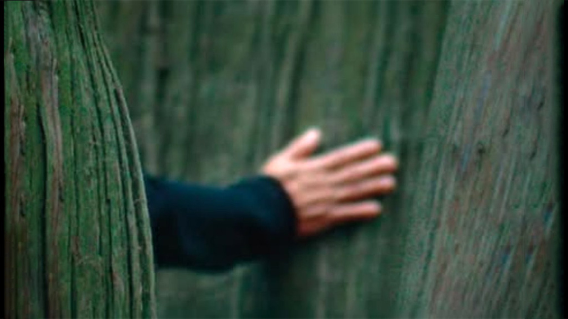 Филмът "Мълчаливият приятел" ще промени мирогледа ви за растенията