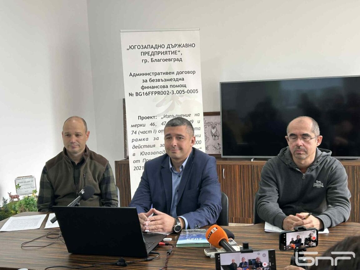 ЮЗДП подобрява качеството на горите