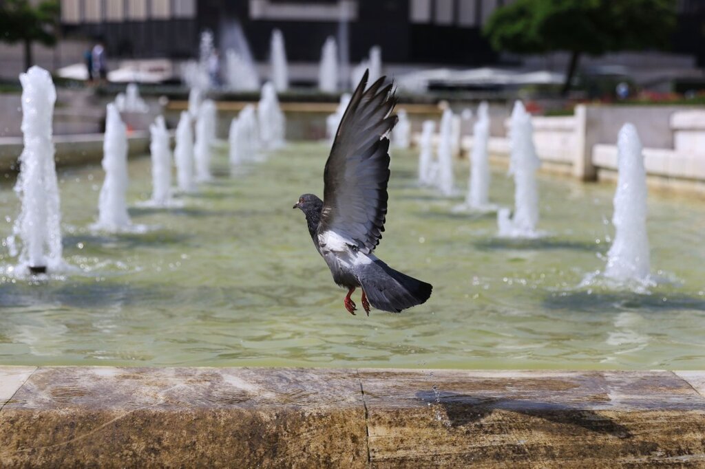 Temperaturile maxime vor scădea cu 2-3 °C în timpul zilei