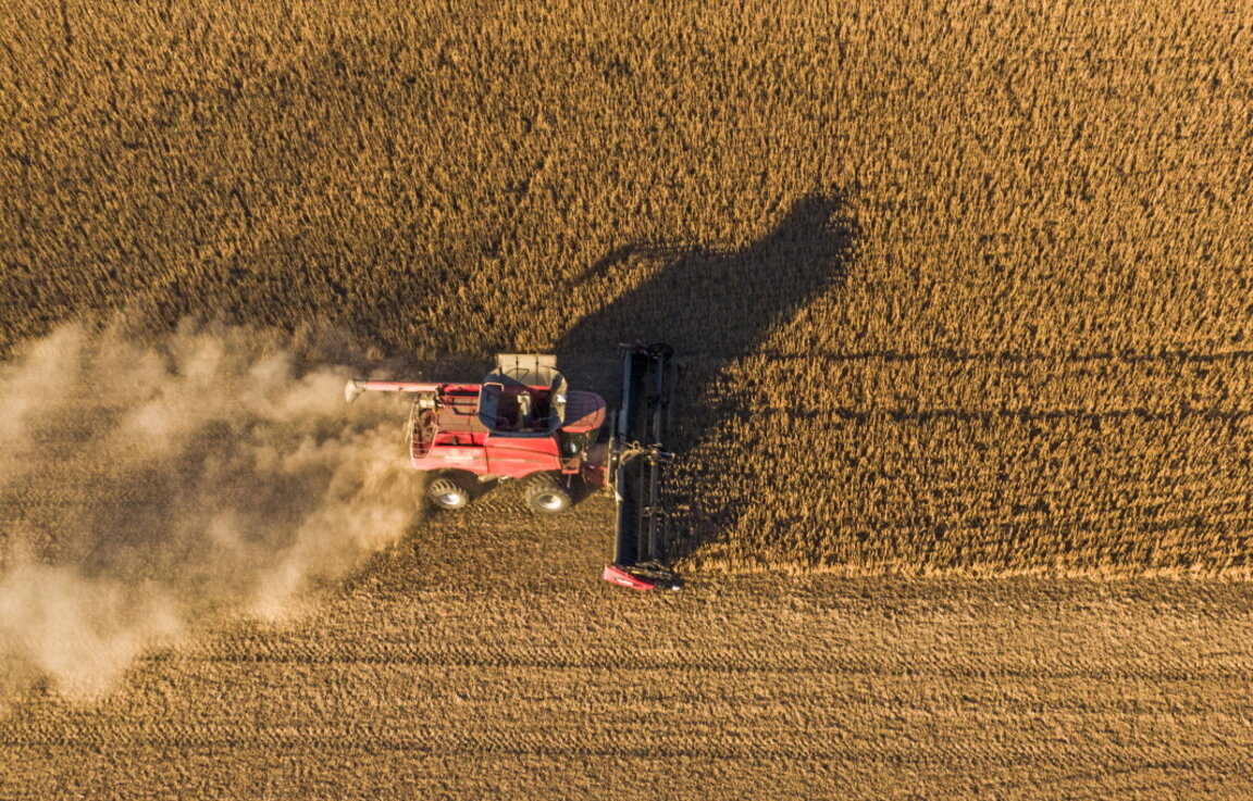 Снимката е илюстративна