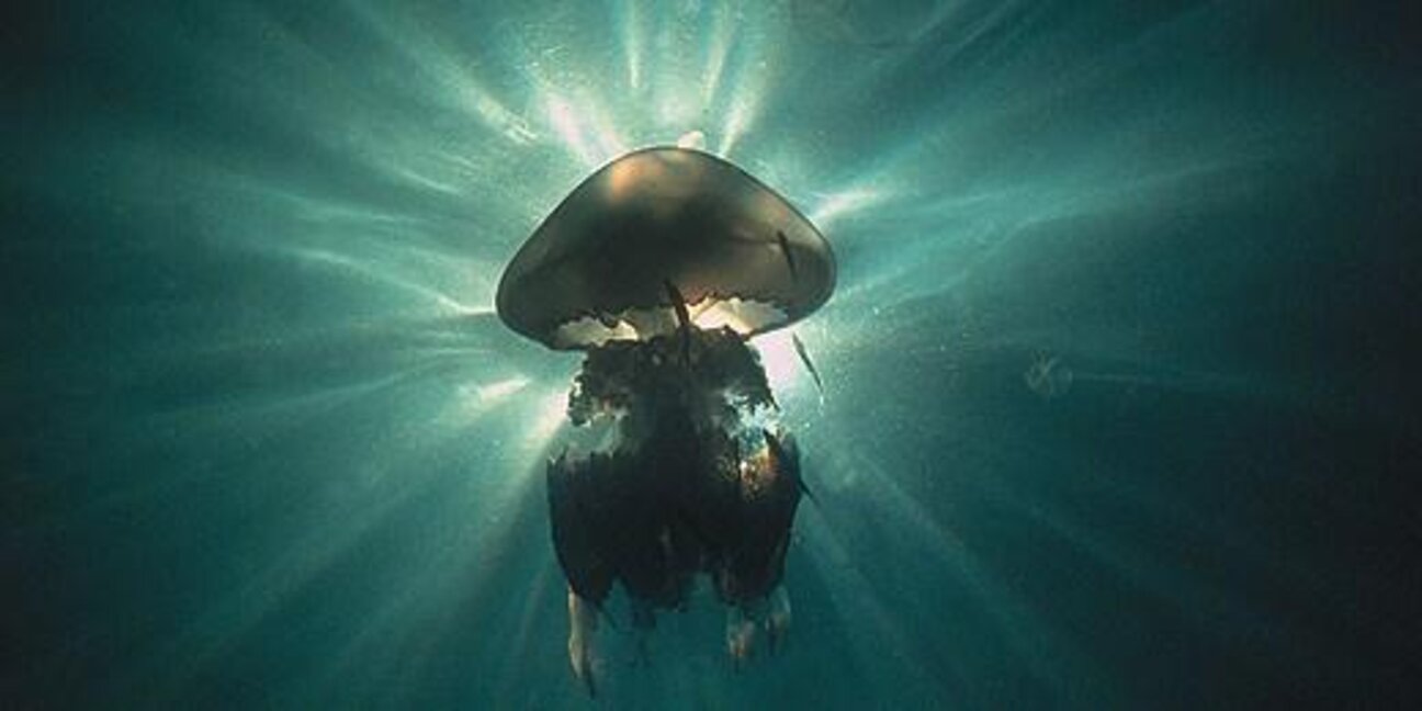 Черно море. Фотография на Любомир Клисуров