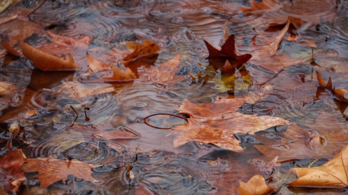 Временска прогноза за уторак, 7. октобар